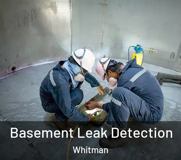  Basement Leak Detection Whitman