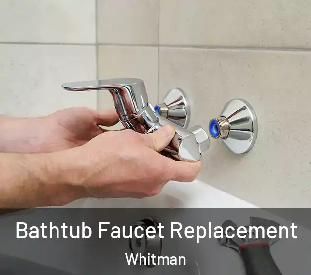  Bathtub Faucet Replacement Whitman