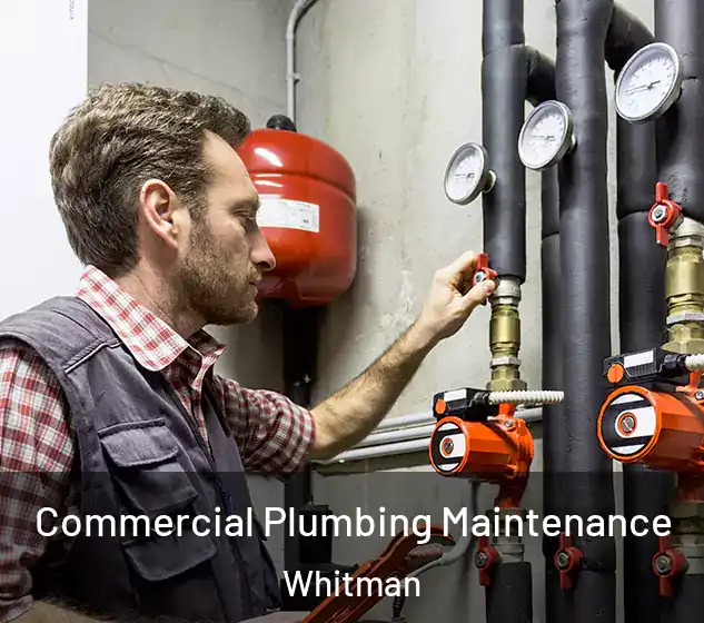  Commercial Plumbing Maintenance Whitman