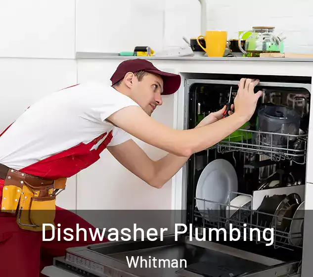  Dishwasher Plumbing Whitman