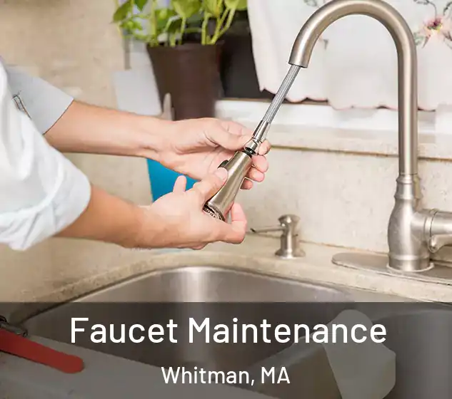  Faucet Maintenance Whitman, MA