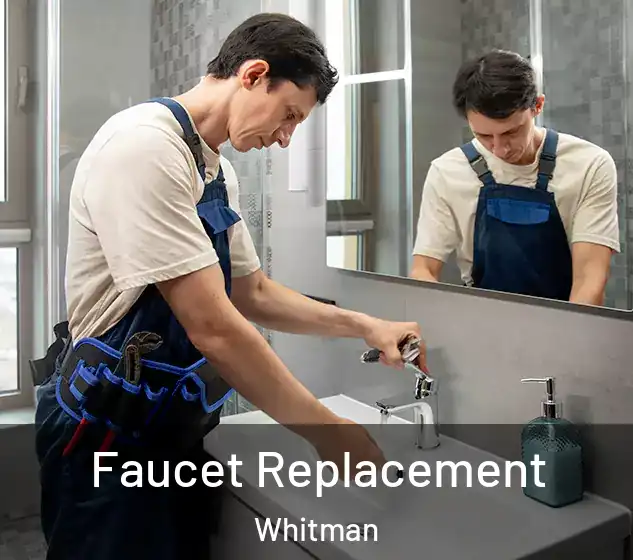  Faucet Replacement Whitman