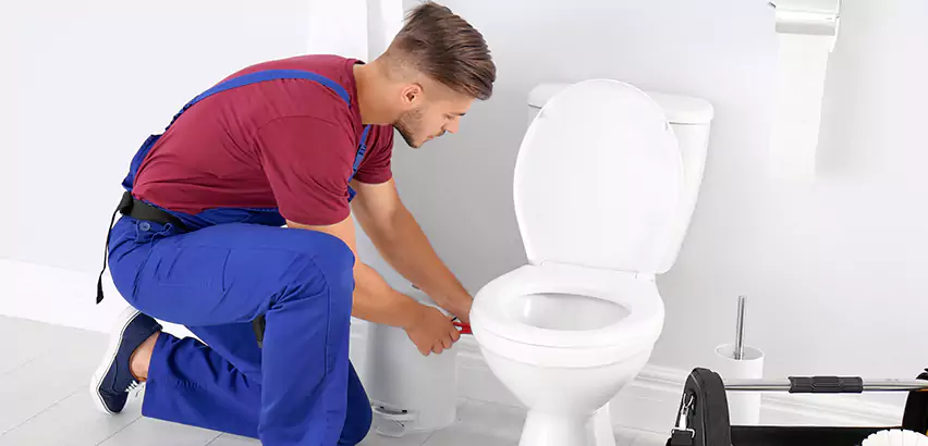 Scope of Bathroom Toilet Bowl Replacement Services in Whitman, MA