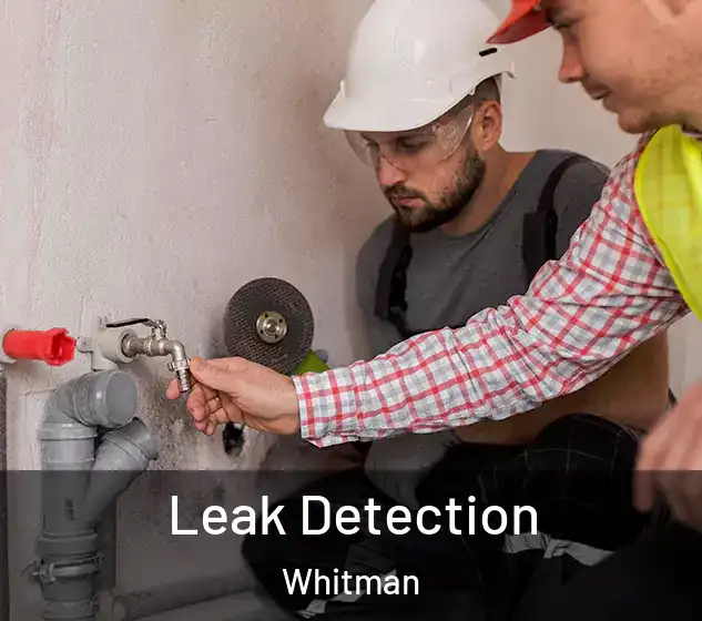  Leak Detection Whitman