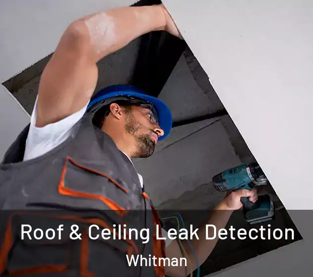  Roof & Ceiling Leak Detection Whitman
