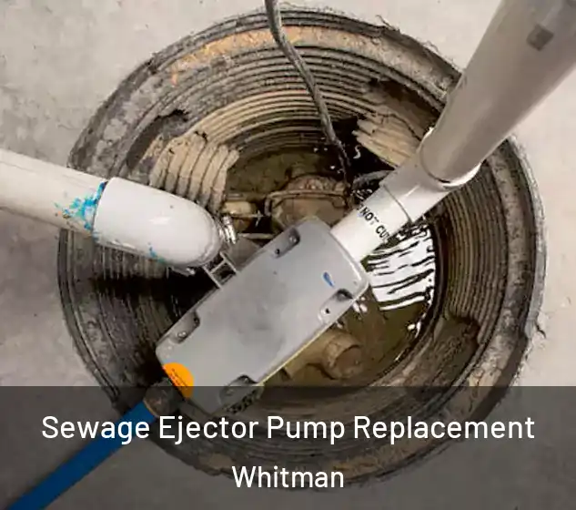  Sewage Ejector Pump Replacement Whitman