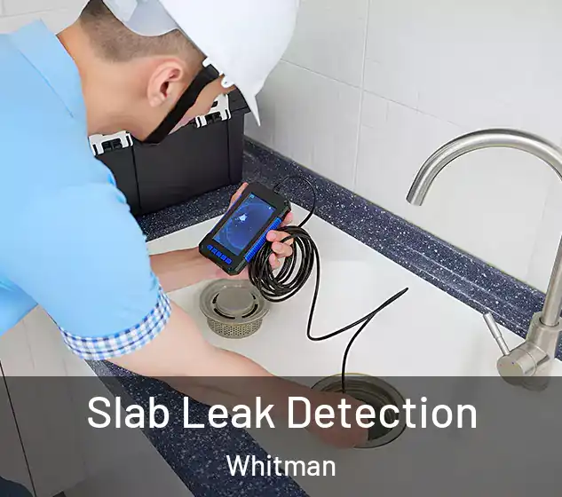  Slab Leak Detection Whitman