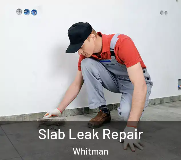 Slab Leak Repair Whitman