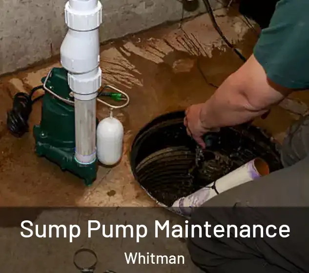  Sump Pump Maintenance Whitman