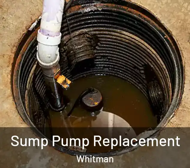  Sump Pump Replacement Whitman