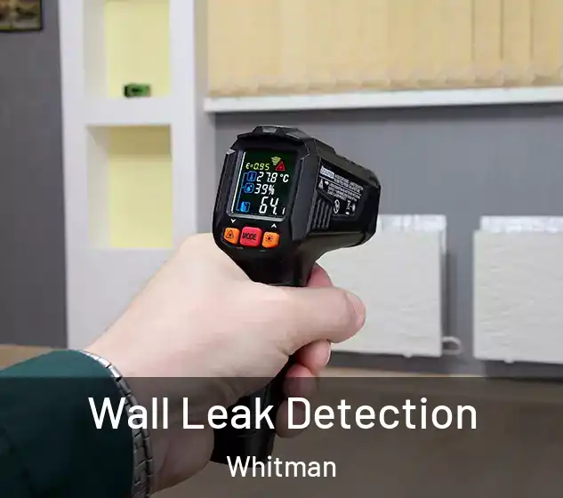  Wall Leak Detection Whitman