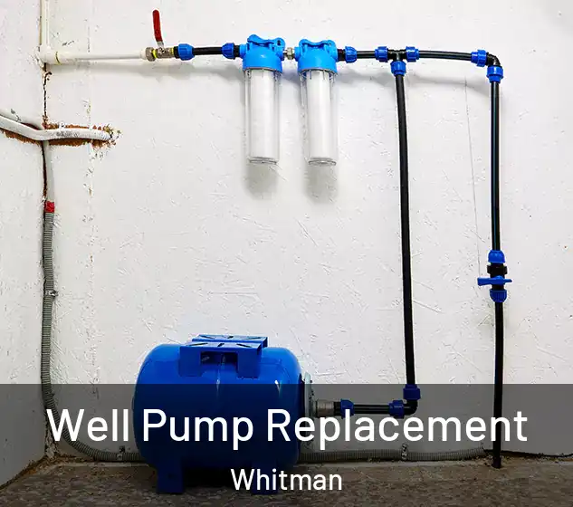  Well Pump Replacement Whitman